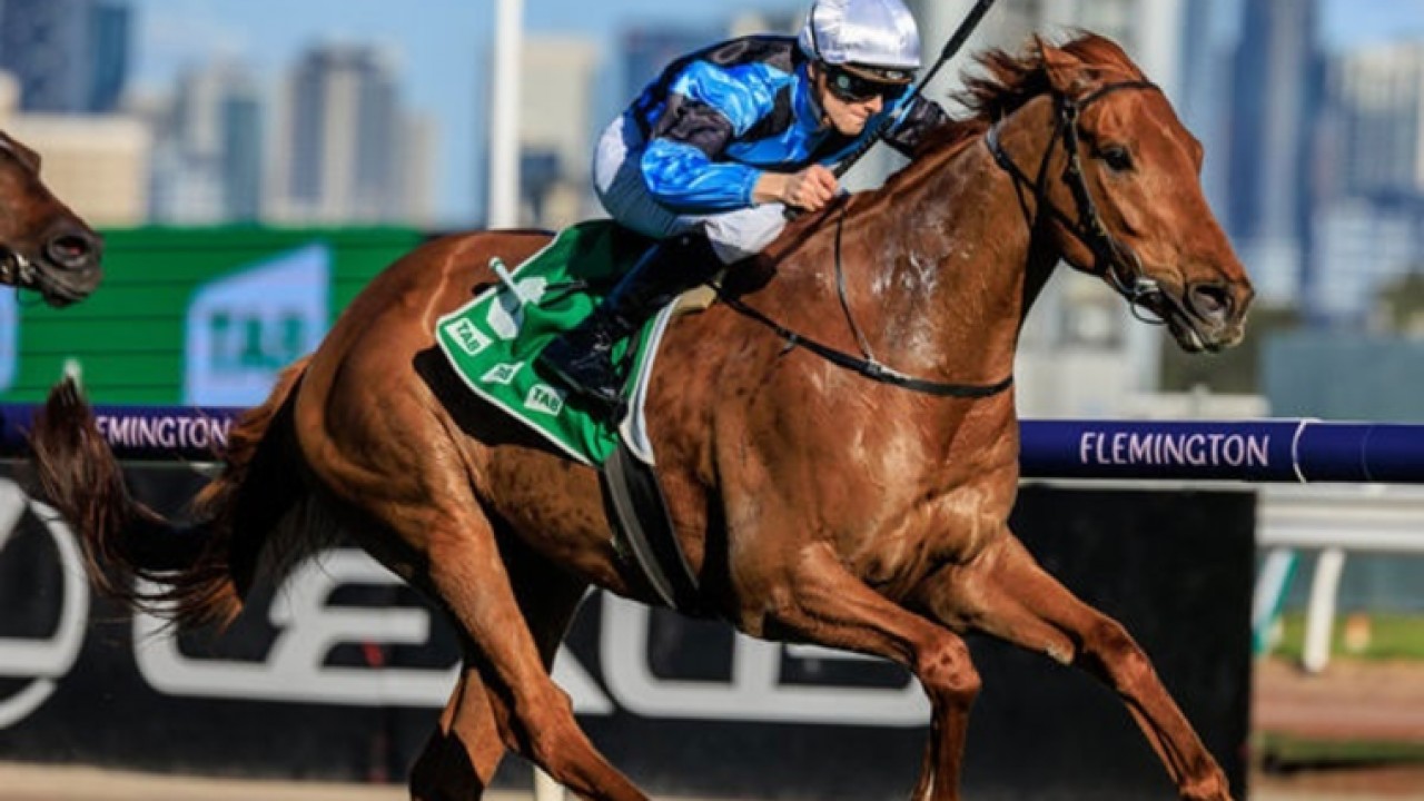 Maher locking duos for the Melbourne Cup Image 1